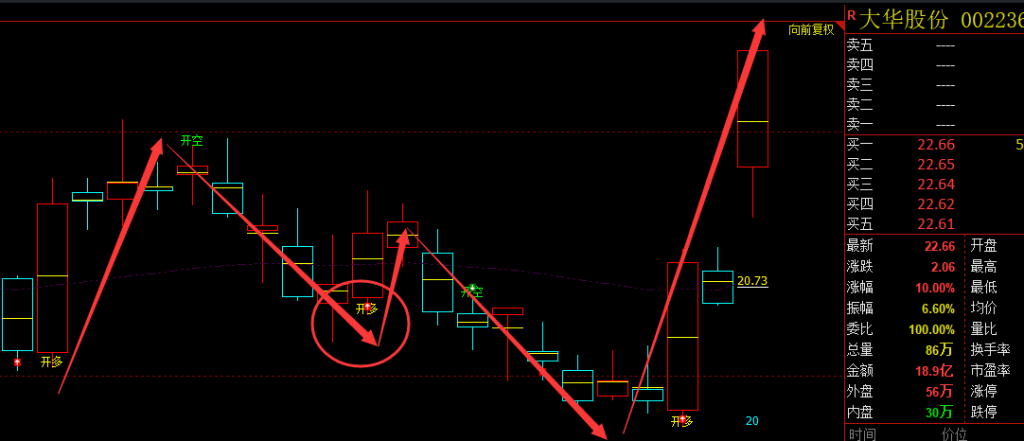 大华股份：VIP精准策略（短线）利润突破15%