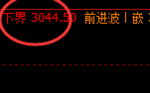 菜粕：月线回补低点，精准展开直线回升