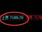 棕榈：试仓高点，精准展开单边极端下行