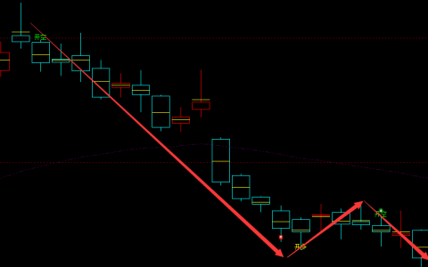 PTA：日线周期，多空精准转折结构，完美100%