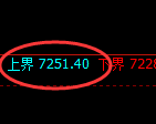 棕榈：试仓高点，精准开启极端大幅回撤