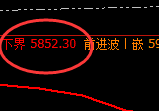 PTA：日线结构高点，精准展开直线回撤