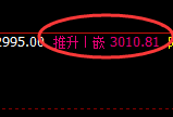 菜粕：日线低点，精准无误展强势拉升