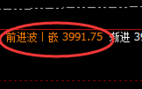 豆粕：日线高点，精准开启极端疯狂杀跌