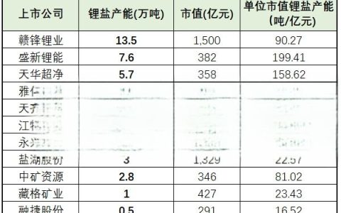 中国最大的碳酸锂生产厂家