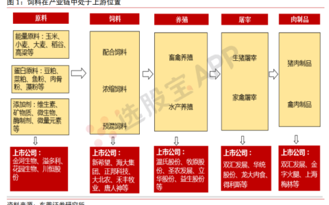 饲料：基本面供需结构及产业链分析