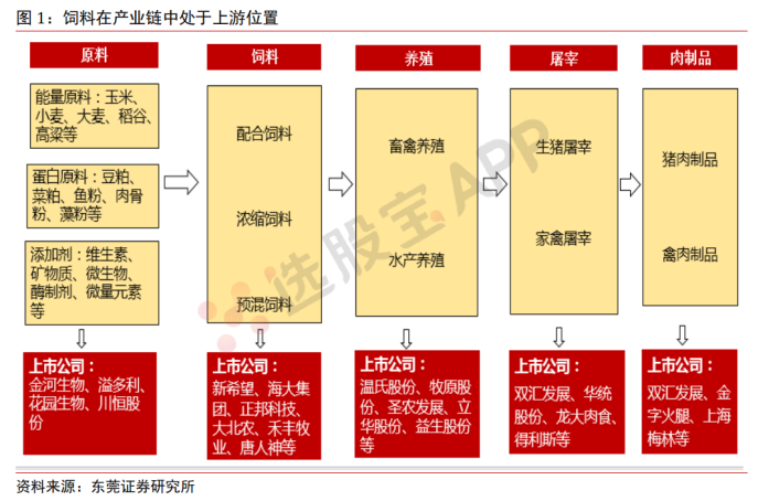饲料：基本面供需结构及产业链分析
