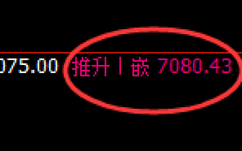 棕榈：4小时高点，精准积极展开冲高回落