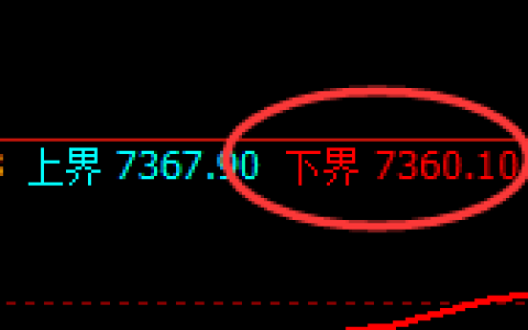 聚丙烯：试仓低点，精准展开极端强势回升