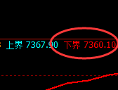 聚丙烯：试仓低点，精准展开极端强势回升