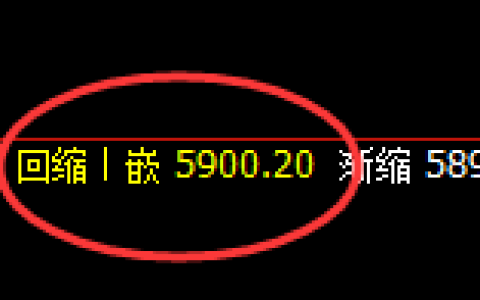 PTA：日线低点，精准进入振荡强势反弹