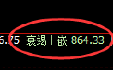 铁矿石：日线低点，午后精准展开振荡回升洗盘