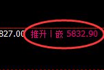 PTA：日线高点，精准展开极端快速回撤