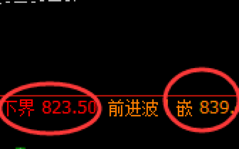 铁矿石：日线结构，精准展开区间强势振荡