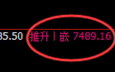 聚丙烯：4小时高点，精准展开加速回落