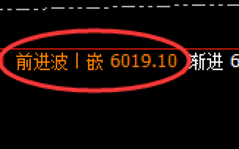 PTA：日线高点，精准展开振荡回撤