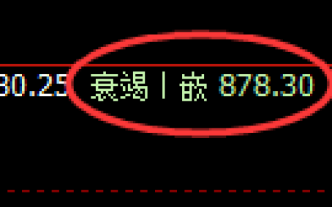 铁矿石：日线低点，精准展开极端强势回升