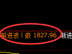 焦煤：日线周期，精准展开振荡洗盘