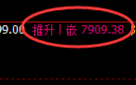 聚丙烯：日线高点，精准展开振荡回落