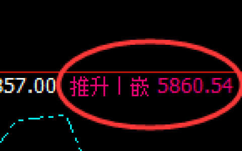 PTA：日线高点，精准展开极端快速回落