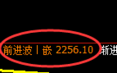 菜粕：日线高点，精准展开冲高回落