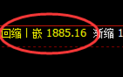 尿素：日线低点，精准展开强势回升