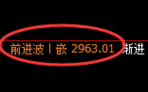 豆粕：日线高点，精准展开快速冲高回落