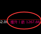 焦煤：日线高点，精准展开冲高回落