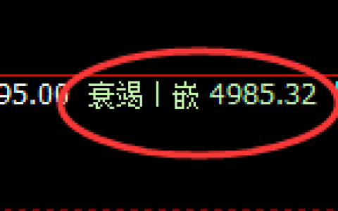 PTA期货：日线低点，精准展开振荡反弹