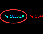 纸浆期货：试仓高点，精准展开极端回落
