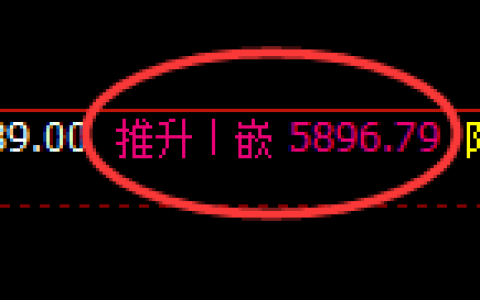 纸浆期货：日线高点，精准展开单边极端下行