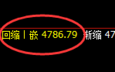 PTA期货：日线低点，精准展开强势回升