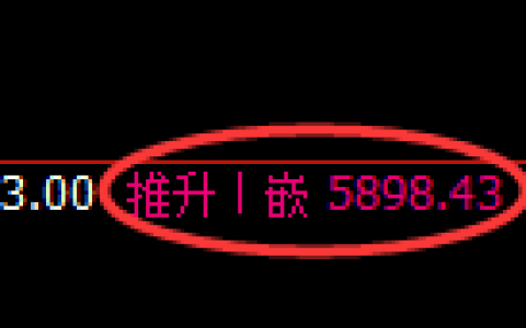 纸浆期货：修正高点，精准展开单边极端回落