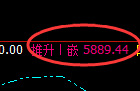 纸浆期货：修正高点，精准展开极端快速回落