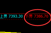聚丙烯期货：试仓低点，精准展开强势反弹