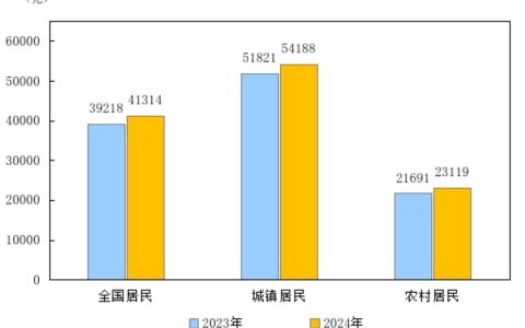 2024年居民收入和消费支出情况