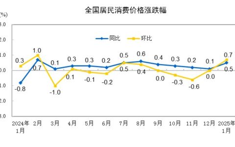 2025年1月份居民消费价格同比上涨0.5%