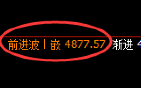 PTA期货：日线高点，精准展开单边极端下行