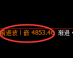 PTA期货：修正高点，精准展开极端大幅回落