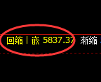 纸浆期货：回补低点，精准展开强势反弹