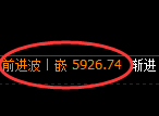纸浆期货：回补低点，精准展开强势反弹