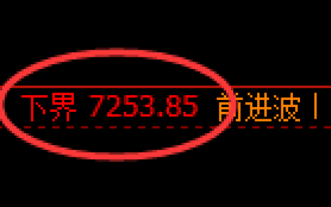 聚丙烯期货：修正低点，精准展开直线反弹