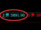 纸浆期货：跌超1%，试仓高点，精准展开极端下行