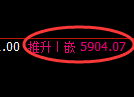 纸浆期货：回补高点，精准展开深度跳水