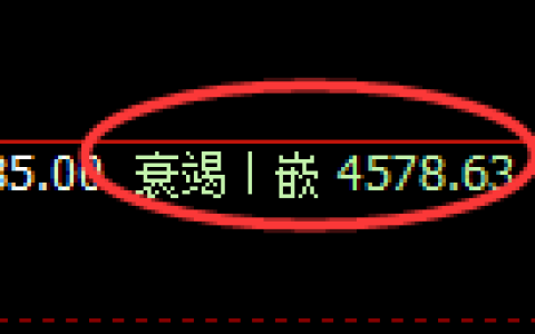 液化气期货：日线低点，精准展开强势反弹