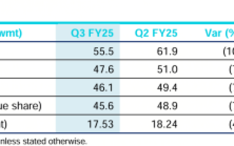 FMG：2025年一季度铁矿石产量5550万吨，同比增长19%