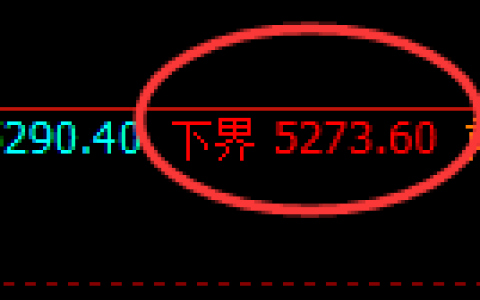 纸浆期货：试仓低点，精准展开积极反弹