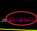 焦煤期货：日线低点，精准展开强势上行