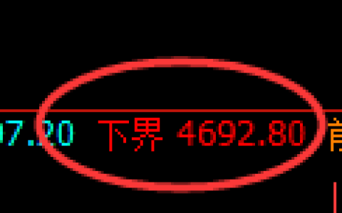 PTA期货：试仓低点，精准展开强势反弹