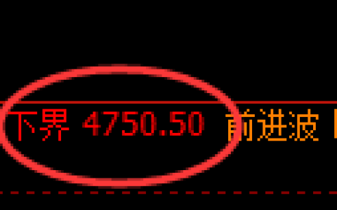 PTA期货：试仓低点，精准展开积极回升